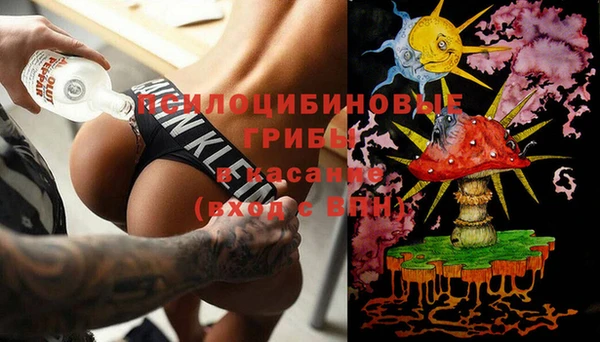 бошки Осташков