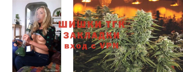 ALPHA PVP Осинники