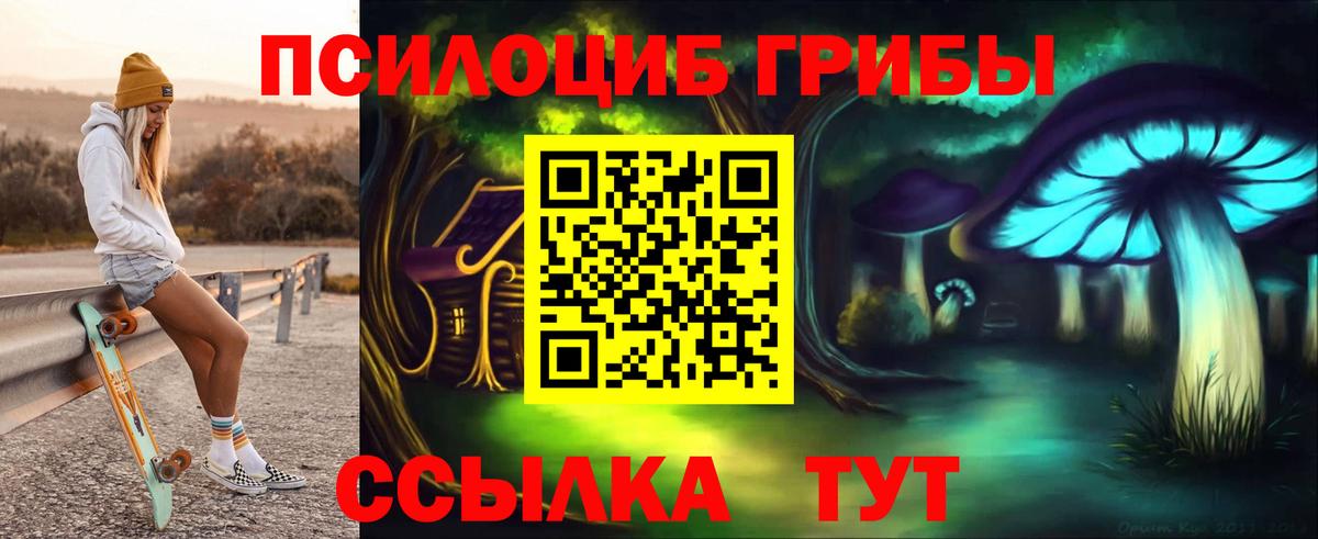 Красноярск  Псилоцибиновые грибы ЛСД  цена   Вход с VPN 