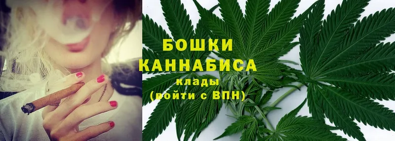 Каннабис OG Kush  где купить наркоту  Красноярск 